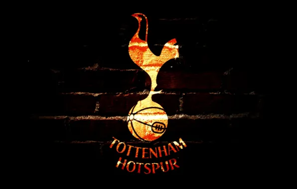 Football, Spurs, Tottenham Hotspur, tottenham wallpaper