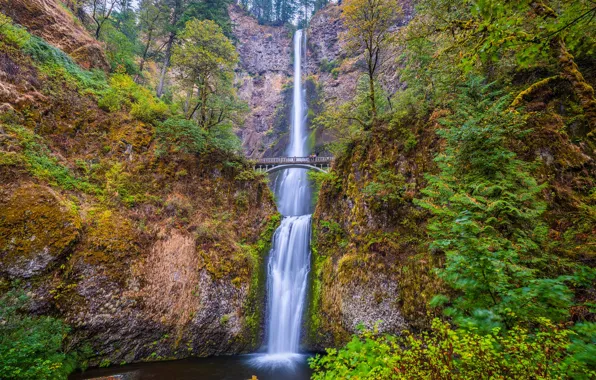 Мост, водопад, каньон, USA, Columbia, Gorge National Scenic Area