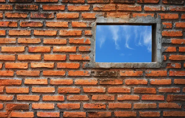 Картинка wall, bricks, window