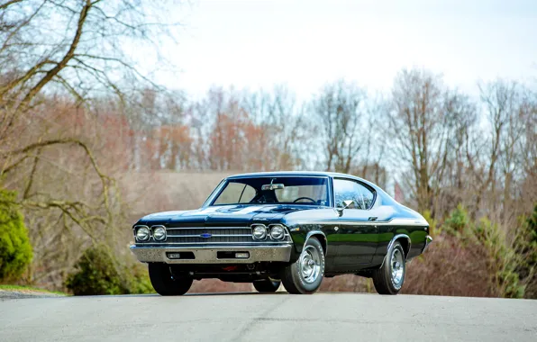 Картинка Chevrolet, 1969, Chevelle, Yenko, COPO