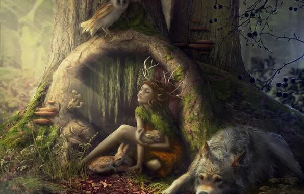 Картинка лес, животные, девушка, звери, сова, волк, олененок