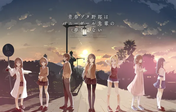 Девушки, улица, фонарь, парни, персонажи, Rascal Does Not Dream of Bunny Girl Senpai