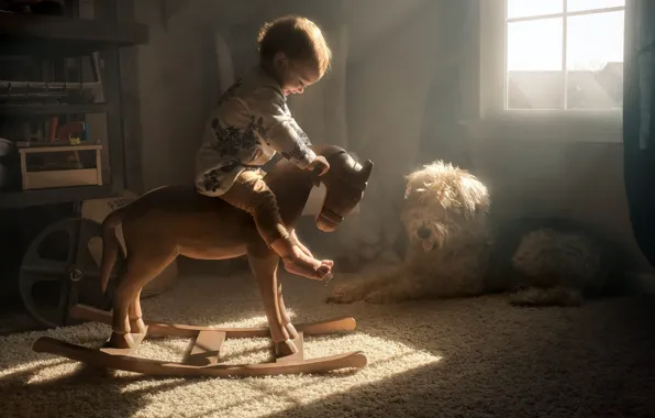 Картинка уют, дом, конь, собака, ребёнок