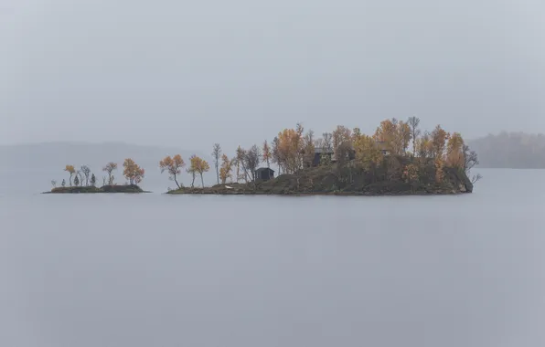 Картинка лодочная пристань, дом, озеро, островок, серое небо, деревья, туман, дождливый
