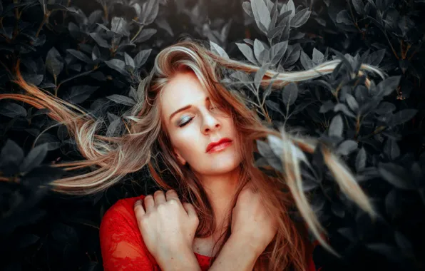 Картинка девушка, лицо, фон, волосы