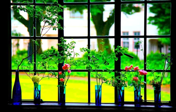 Цветы, рама, окно, ваза