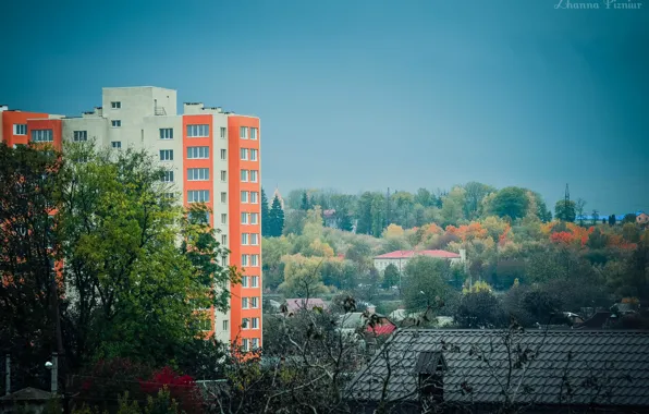 Небо, цвета, деревья, улица, дома, Осень