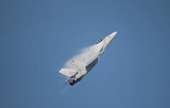 Небо, полет, самолет, истребитель, показать, F-18F Super Hornet