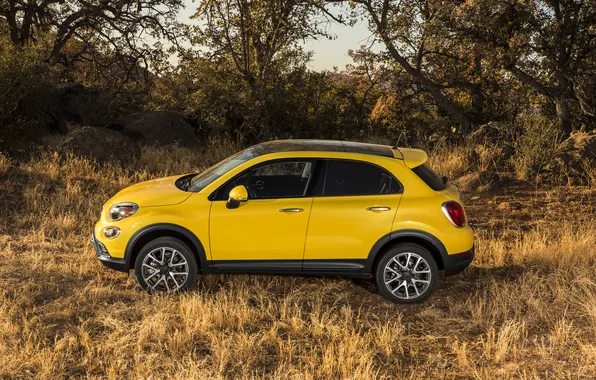 Картинка желтый, фото, автомобиль, сбоку, металлик, Fiat, 2014, 500X