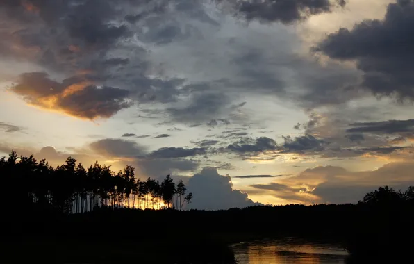 Деревья, пейзаж, закат, вечер