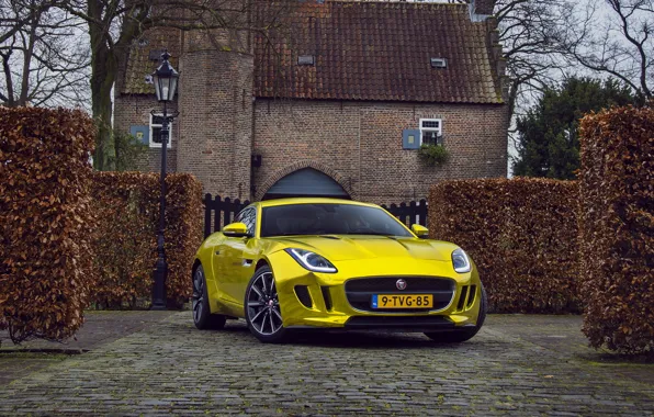 Gold, jaguar, coupe, f-type