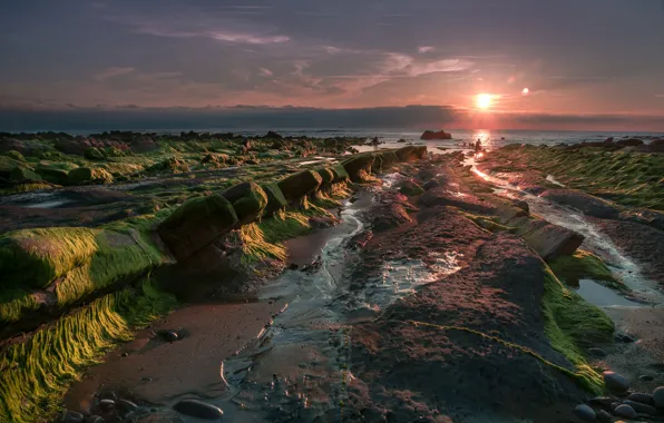 Песок, море, пляж, небо, солнце, облака, свет, водоросли