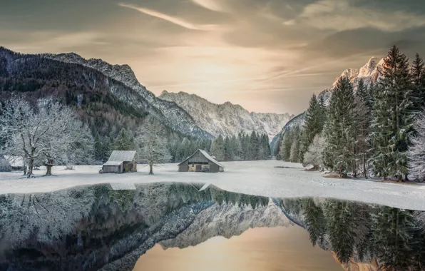 Зима, снег, деревья, горы, озеро, отражение, Словения, Slovenia