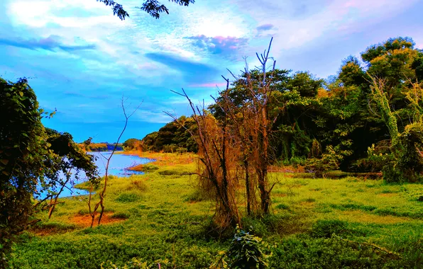Картинка Sky, Grass, Water, Sunrise, Dawn, Morning, Lake, Trees