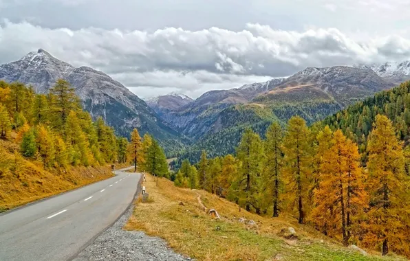 Дорога, осень, лес, деревья, горы, Швейцария, кантон Граубюнден, Alvaneu Dorf