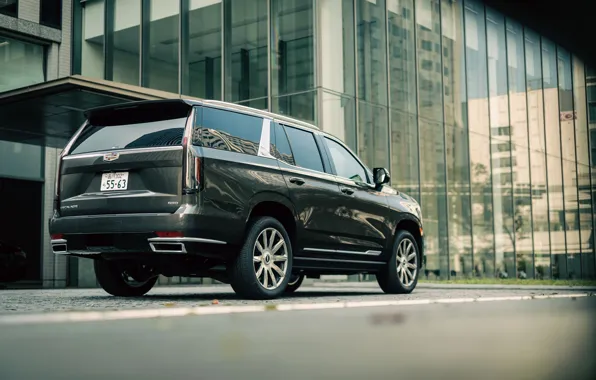 Cadillac, Джип, Кадиллак, Escalade, Внедорожник, Luxury, Вид сзади, Rear