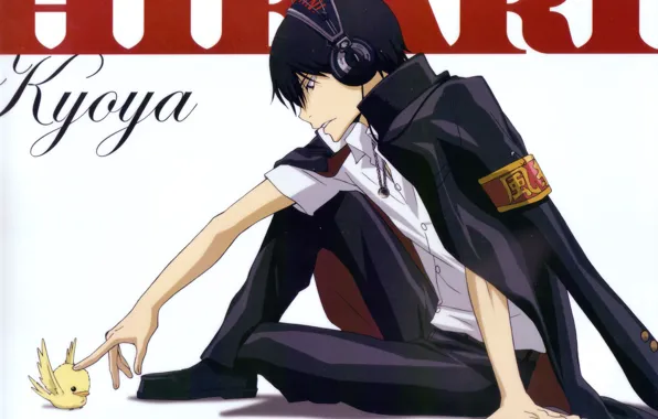Фон, Katekyo Hitman Reborn, Хибари Кёя, Учитель мафиози Реборн