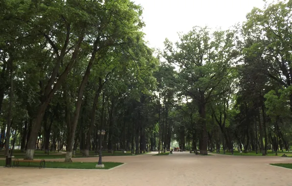 Лето, парк, Калуга