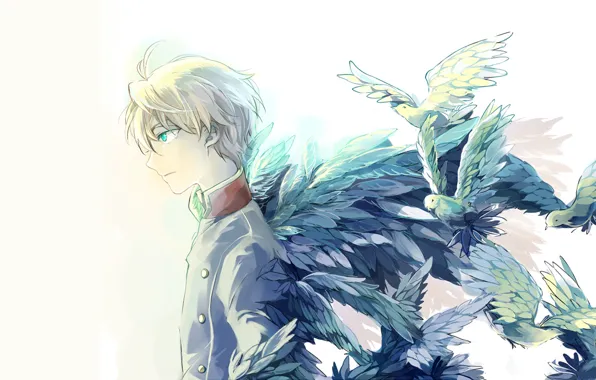 Птицы, парень, Aldnoah.Zero, Слейн Трояд, альдноа зеро