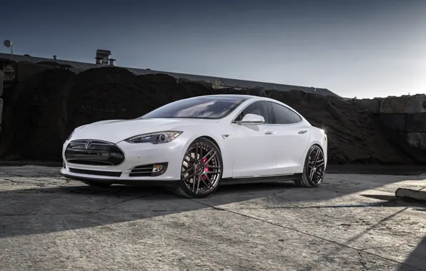 Картинка white, wheels, Model, Tesla, niche