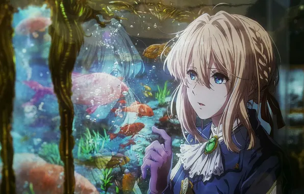 Аквариум, голубые глаза, челка, пузырьки воздуха, Violet Evergarden, аквариумные рыбки