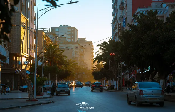 SUNRISE, plateau, rate, VIBE, HAWMA, ALGERIA, wahid belghit, wahran