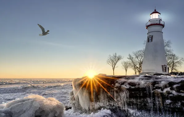 Картинка лед, зима, море, солнце, лучи, деревья, побережье, маяк