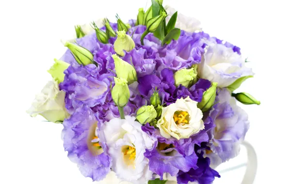 Flowers, эустома, Bouquets, Eustoma
