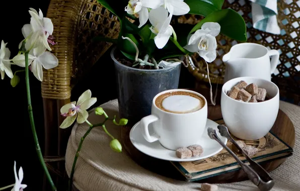 Картинка кофе, чашка, сахар, орхидея