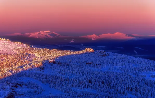 Картинка зима, деревья, горы, простор, winter, mountains, expanse, view of the snowy forest