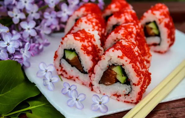 Япония, еда, сирень, суши, роллы