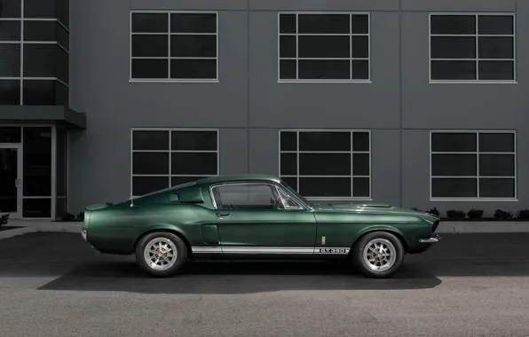 Картинка Ford Mustang, Classic, 1967, Muscle Car, Shelby GT350