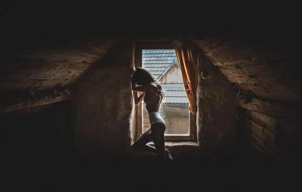 Лицо, волосы, трусики, фигура, Angela, чердак