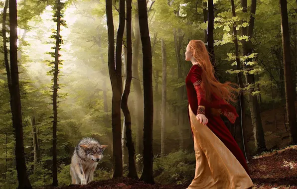 Картинка лес, девушка, волк, ситуация