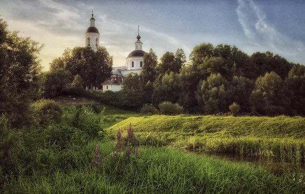 Зелень, лес, трава, облака, свет, деревья, цветы, берег