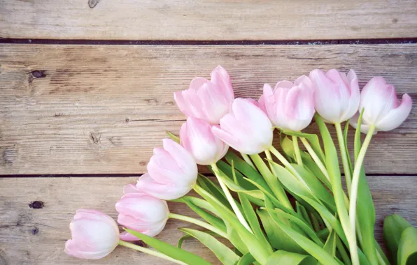 Цветы, букет, тюльпаны, wood, pink, romantic, tulips, spring