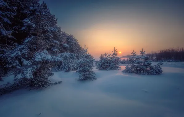 Картинка зима, лес, снег, деревья, пейзаж, закат, природа