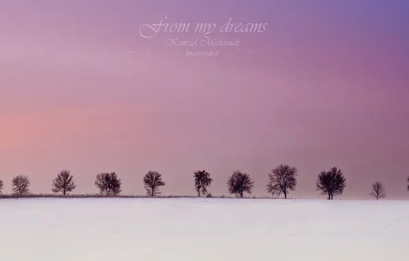 Картинка зима, деревья, from my dreams