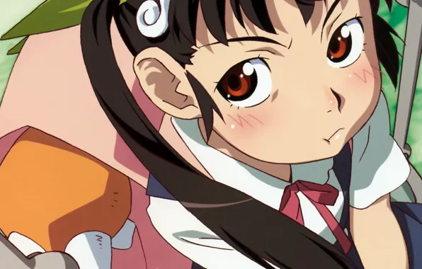 Лицо, румянец, школьница, рюкзак, ранец, щеки, Bakemonogatari, Hachikuji Mayoi