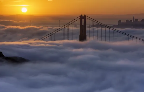 Картинка туман, рассвет, утро, Калифорния, Сан-Франциско