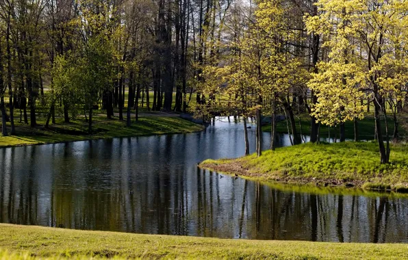 Картинка осень, трава, листья, деревья, озеро, пруд, парк, река