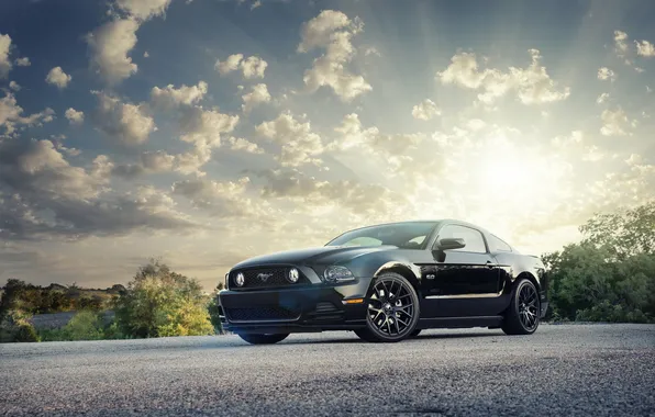 Картинка солнце, блики, Mustang, Ford, мустанг, black, форд, 5.0