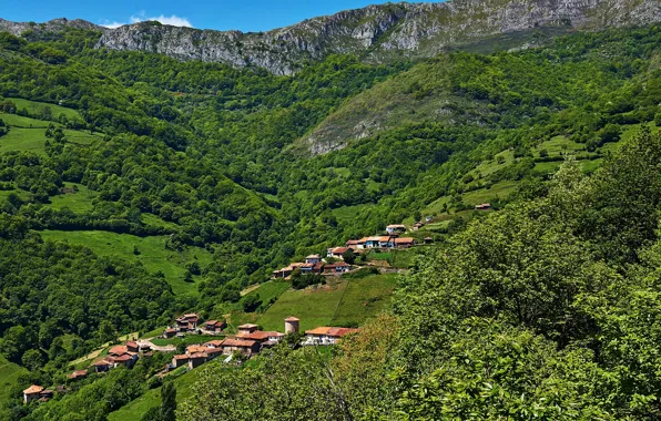 Горы, поля, панорама, домики, Испания, леса, Asturias, Proaza
