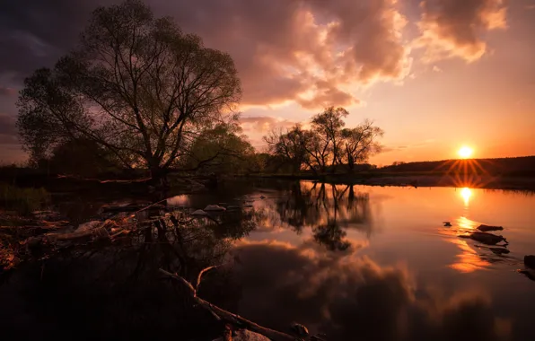 Картинка закат, река, дерево