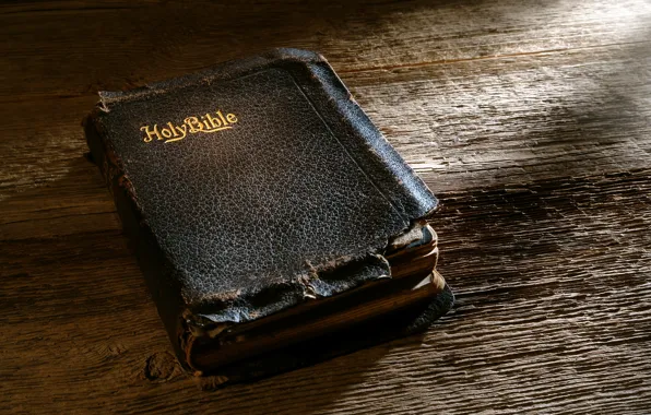 Картинка holy, book, bible