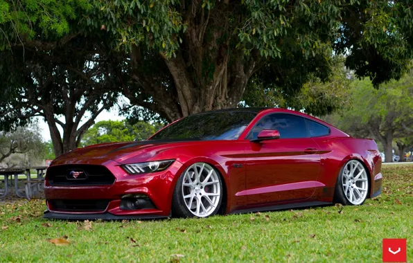 Mustang, Ford, Vossen, Wheels, Graphite, VFS6