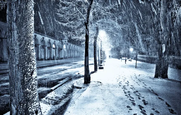 Картинка снег, ночь, город, улица, фонари, алейка