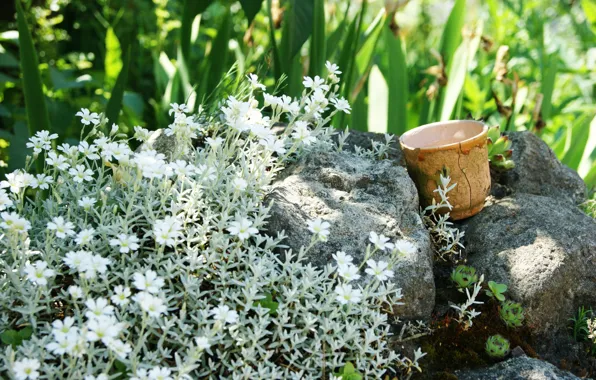 Лето, деревья, дизайн, чашка, summer, nature, cup