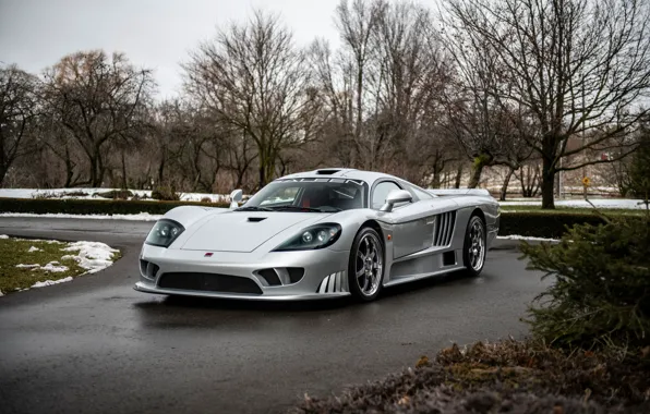 Картинка Saleen, Saleen S7, S7