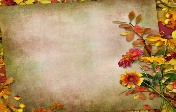 Картинка осень, листья, цветы, ягоды, vintage, background, autumn, leaves
